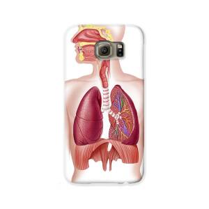 Female Chest Muscles With Labels Galaxy S6 Case by Hank Grebe - Fine Art  America