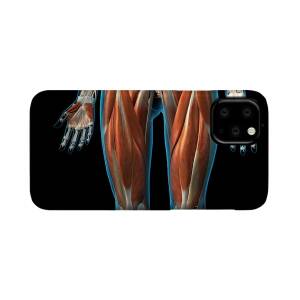 Male Anterior Thoracic Wall Chest iPhone 11 Pro Case by Hank Grebe - Fine  Art America