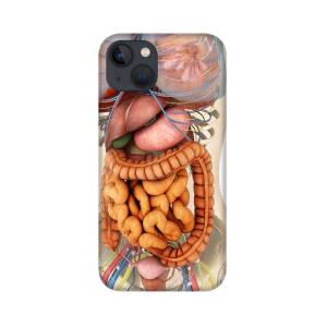 Female Chest Muscles With Labels iPhone 13 Mini Case by Hank Grebe