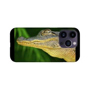 iPhone 14 Pro Square Case Alligator