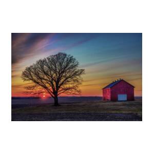 BarnSet - Wisconsin Rural Sunset with Oak and Barn Poster by Peter Herman