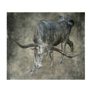 001 Multiple Sizes Available ** TEXAS LONGHORNS ** POSTER
