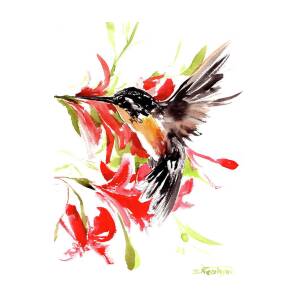 Hummingbird, Turquoise Blue Bird Illustration Art Poster by Suren Nersisyan