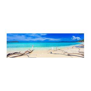 Beach panorama Poster by MotHaiBaPhoto Prints