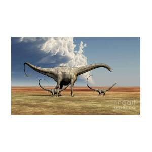 Collection Of Carnivorous Dinosaurs Poster by Elena Duvernay - Pixels
