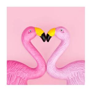 https://render.fineartamerica.com/images/rendered/square-product/small/images/rendered/default/poster/8/8/break/images-medium-5/pair-of-flamingos-juj-winn.jpg