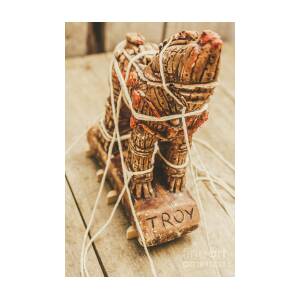 Stories from ancient Troy Art Print by Jorgo Photography