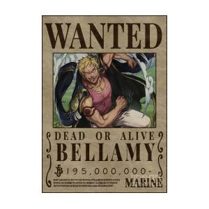 Anime One Piece Pirates Wanted Posters - Style New Big Size - One Piece  posters - ACE : Amazon.ae: Home
