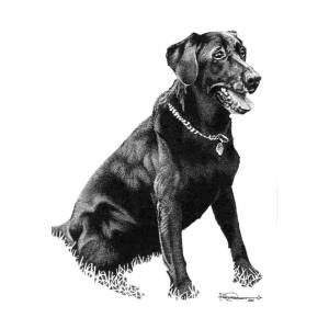 Black Lab Puppy Art Print by Rob Christensen