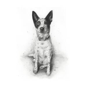 Cute Pug Art Print by Olga Shvartsur