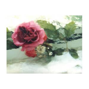 French Shabby Chic Romantic Impressionistic Pink Roses - Painted Pink ...