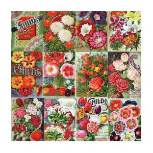 Vintage Flower Seed Packet Illustrations 1 Mosaic Art Board Print