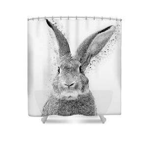 Have I Gone Mad Quote Shower Curtain for Sale by Zapista OU