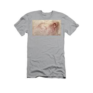 Detail of the Angel from The Virgin of the Rocks T-Shirt for Sale by ...