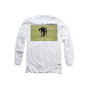 Cowboys and Cowgirls of the Rockies Long Sleeve T-Shirt by James