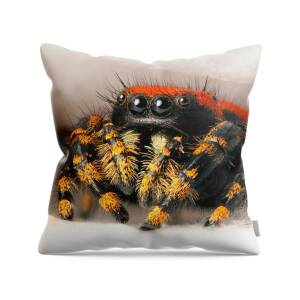 Regal Jumping Spider Apparel and Accessories Regal Jumping Spooder Mom  Mothers Day Pet Spider Throw Pillow, 18x18, Multicolor