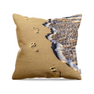 Wooden walkway over dunes at beach Throw Pillow for Sale by Elena Elisseeva