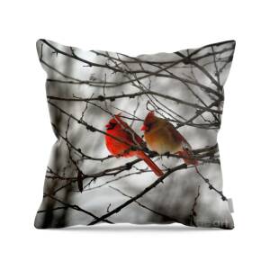 Nourison Cardinal and Snow Decorative Pillow 
