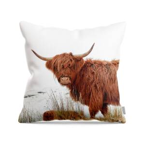 Highland Cow Throw Pillow for Sale by Grant Glendinning