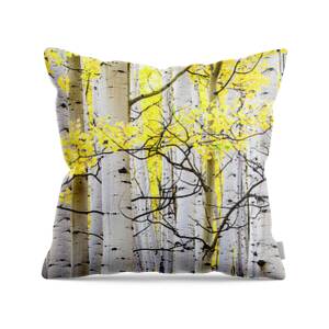 Aspen Trees Summer Forest Throw Pillow for Sale by The Forests Edge ...