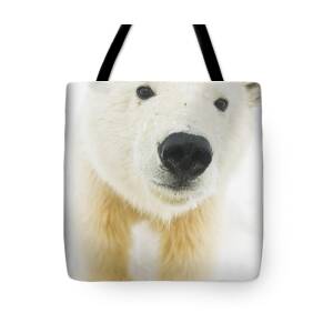Horses in Winter Tote Bag for Sale by Thomas Sbampato