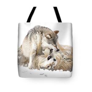Patch Bag 1 Tote Bag by Coyote Eason