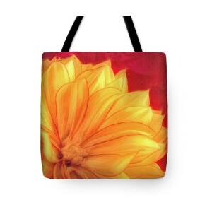 Nautilus Shell in High Key Tote Bag for Sale by Tom Mc Nemar