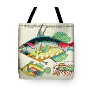 Vintage, Whimsical Fish and Marine Life Illustration by Louis Renard -  Mountain Crayfish, Sea Eel Tote Bag by Louis Renard - Pixels