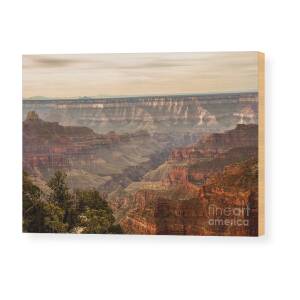 Grand Canyon Sunset Wood Print by Robert Bales