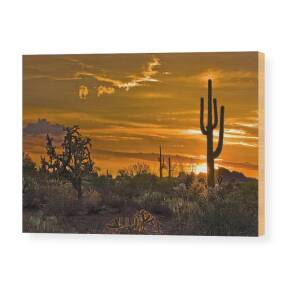 Four Peaks Sunset Wood Print by Dave Dilli