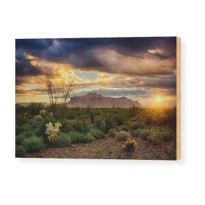 A Sonoran Desert Sunrise Wood Print by Saija Lehtonen