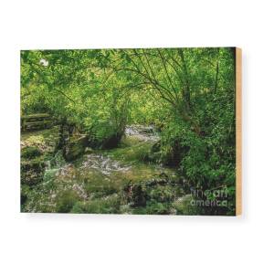 Mackay Reservoir And Lost River Range Wood Print By Robert Bales