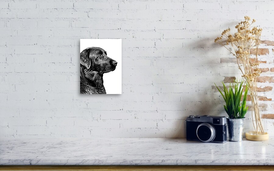 Black Labrador Retriever Dog Monochrome Canvas Print / Canvas Art by ...