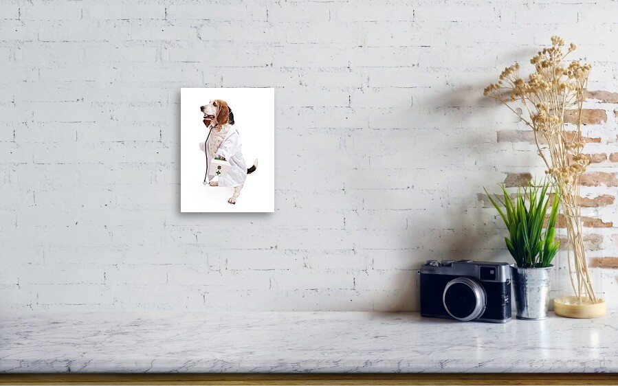 Basset Hound Dog Dressed as a Veterinarian Canvas Print / Canvas Art by ...