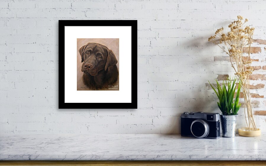 Chocolate Labrador Retriever Portrait Framed Print by Amy Reges