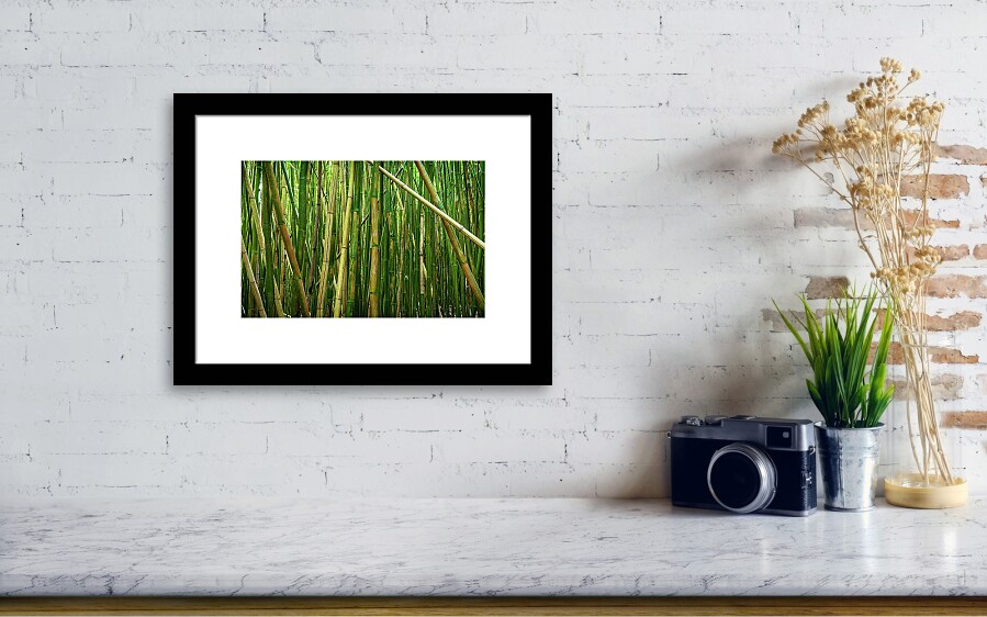Bamboo Sticks Photograph by Kelley King - Fine Art America