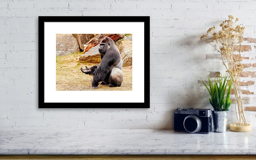 Gorilla sitting upright holding his hand up Throw Pillow by Nick Biemans -  Pixels