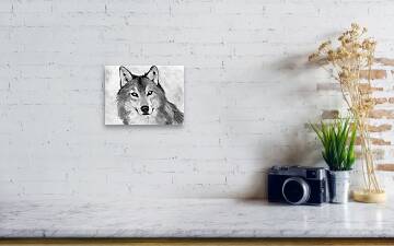 Easy Sketches With Charcoal Pencil Drawing Animals Canvas Print