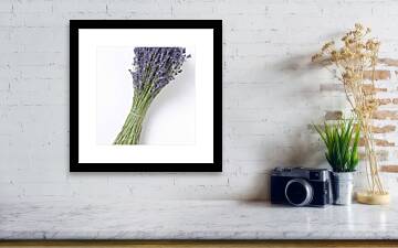 Dried Lavender Bunch, Elevated View Greeting Card by Westend61