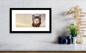 Beautiful Kitten - Framed Print by Matthias Zegveld