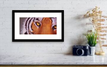 Eye of the Tiger - Framed Print by Matthias Zegveld