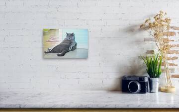 Cute, Funny, Fat Cat on Scale Weighing Himself, Framed Picture, Wall Decor,  Cat Lover, Pet, Family Pet, Animal, Custom Wood Frame, Scale 